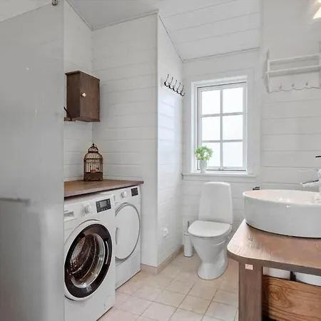 Fy422-bogense-engsvinget-45 * Skåstrup